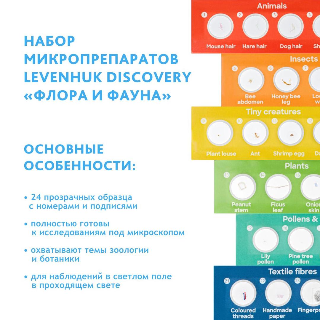 Микроскоп Levenhuk Discovery Micro с книгой, gravity