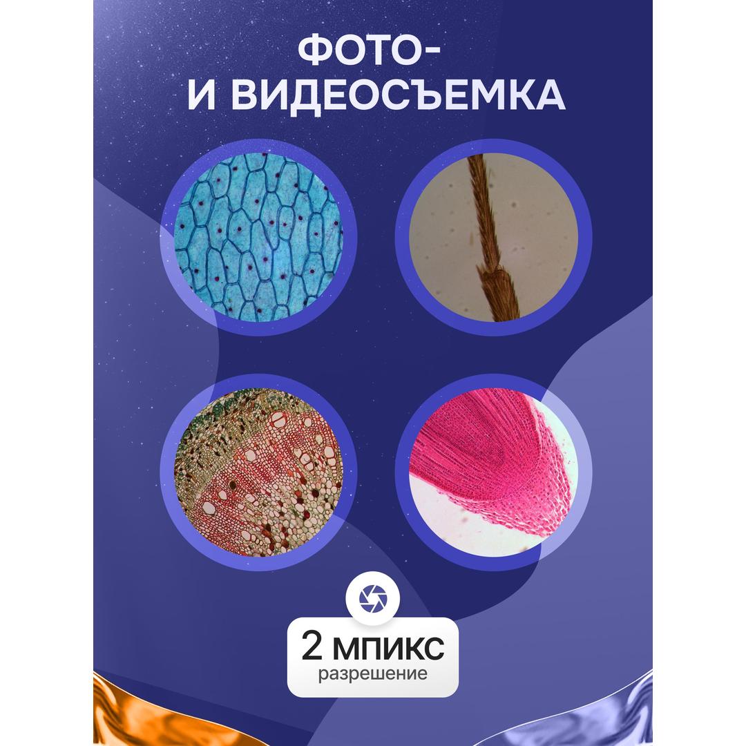 Микроскоп Levenhuk Rainbow D50L PLUS, 2 Мпикс, Moonstone\Лунный камень