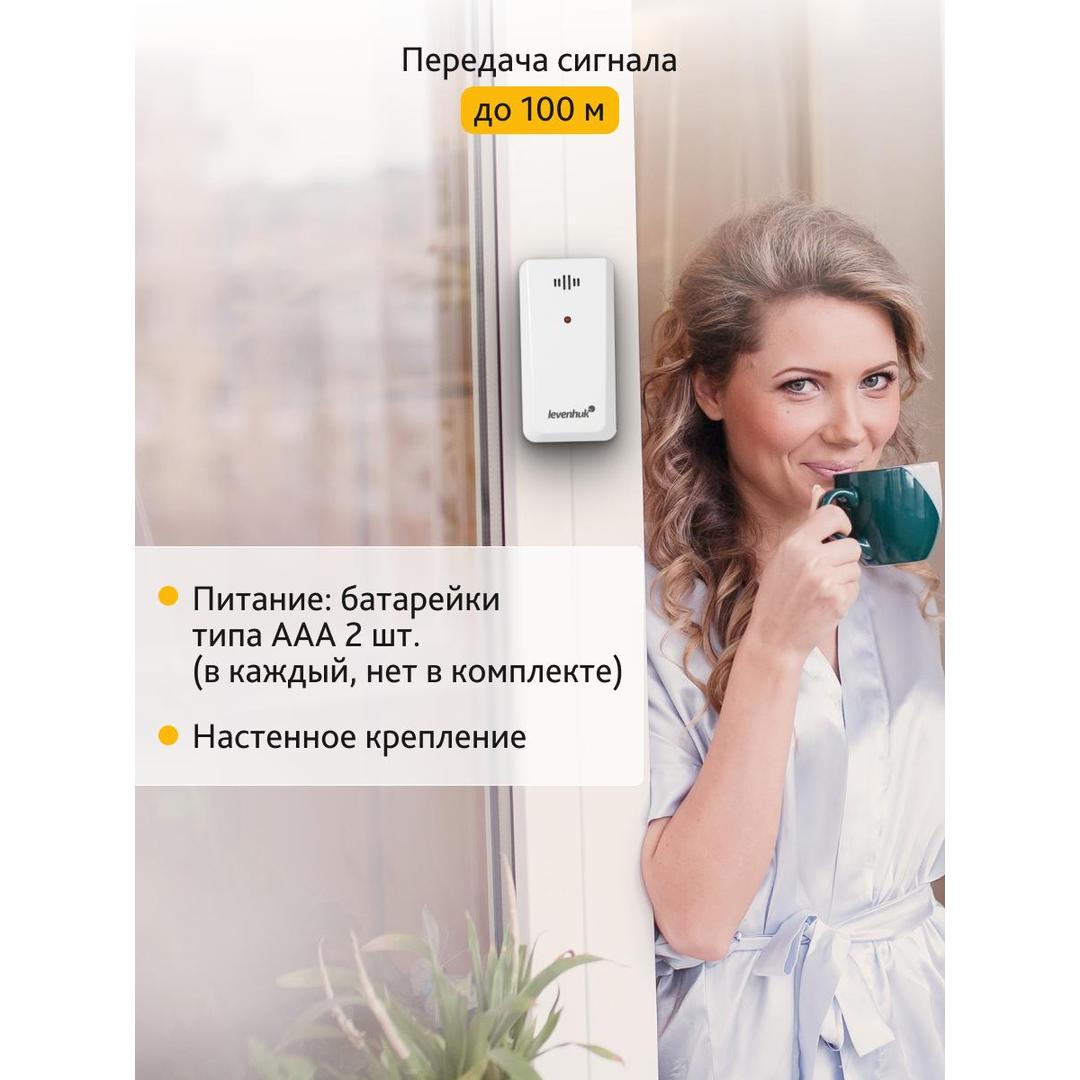 Метеостанция Levenhuk Wezzer PLUS LP40