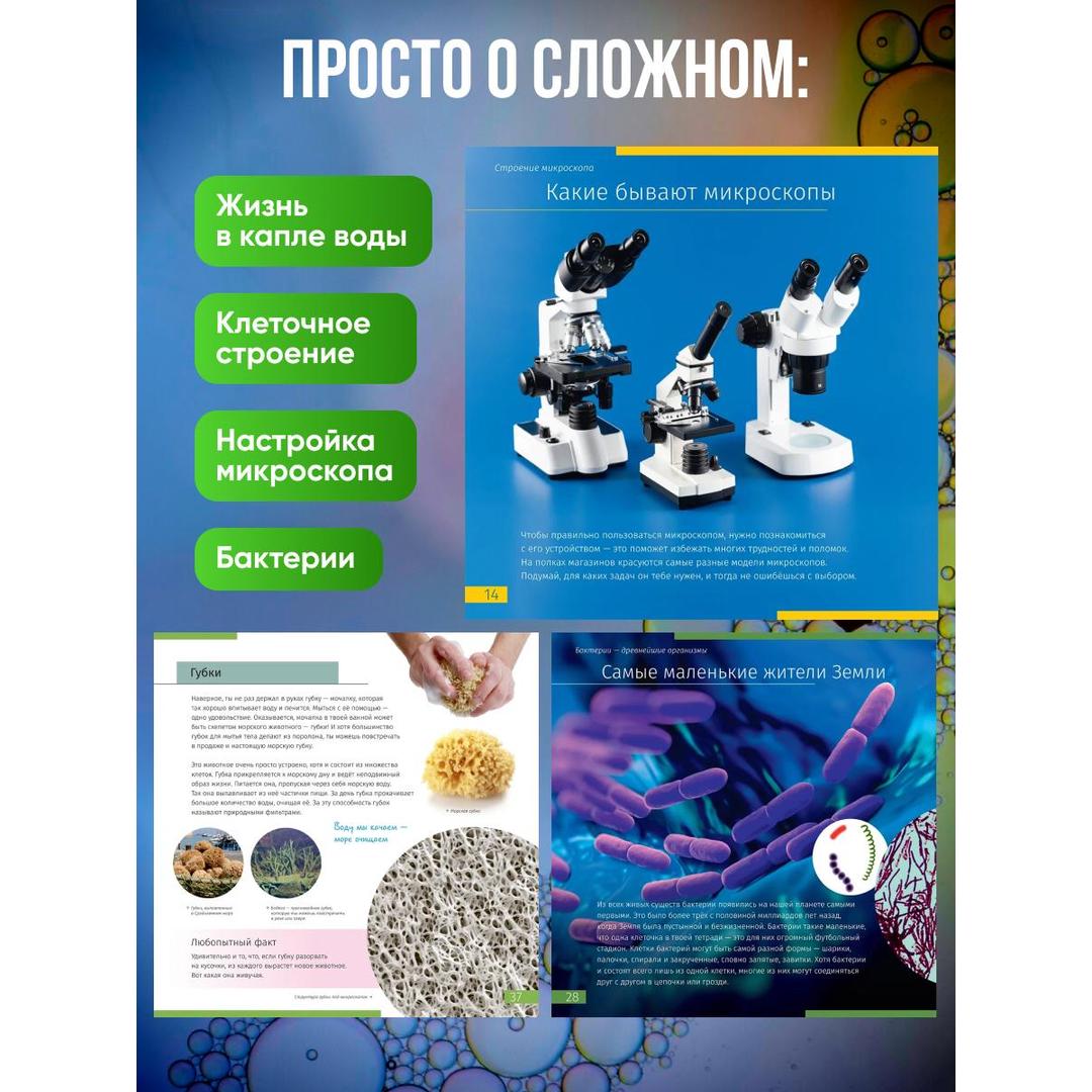 Книга знаний «Невидимый мир»
