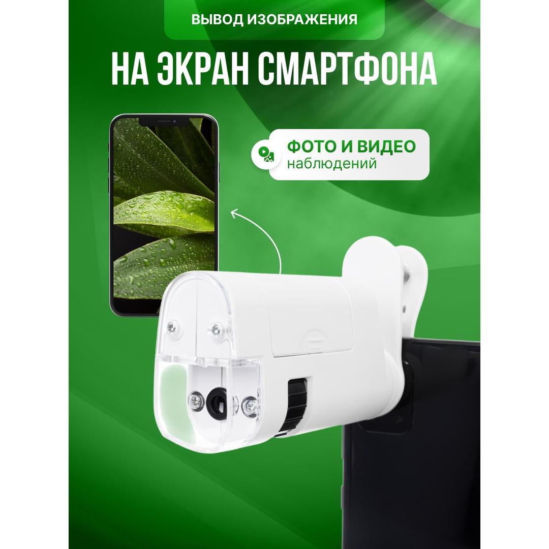 Микроскоп карманный для проверки денег Levenhuk Zeno Cash ZC14