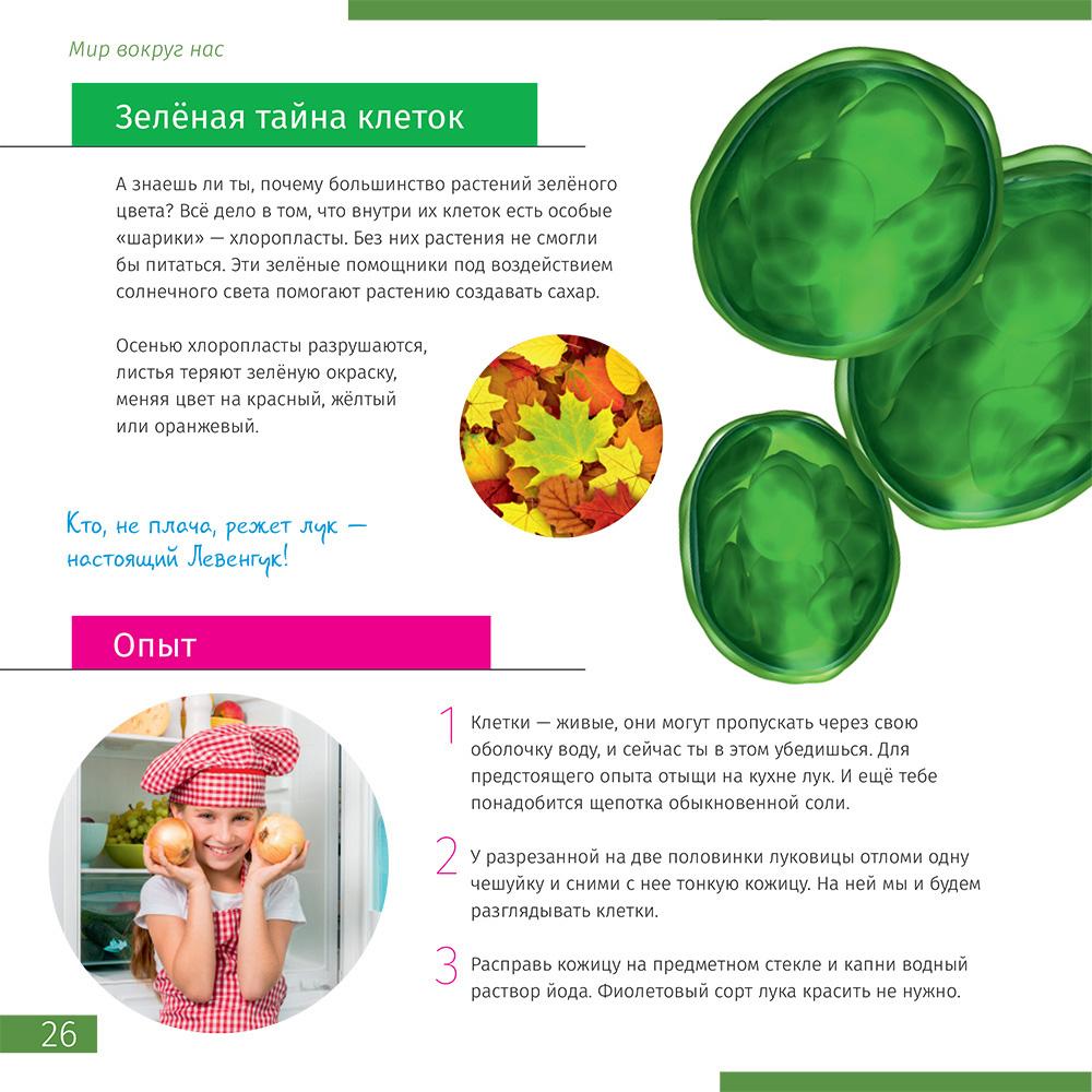 Микроскоп Levenhuk Discovery Micro с книгой, gravity