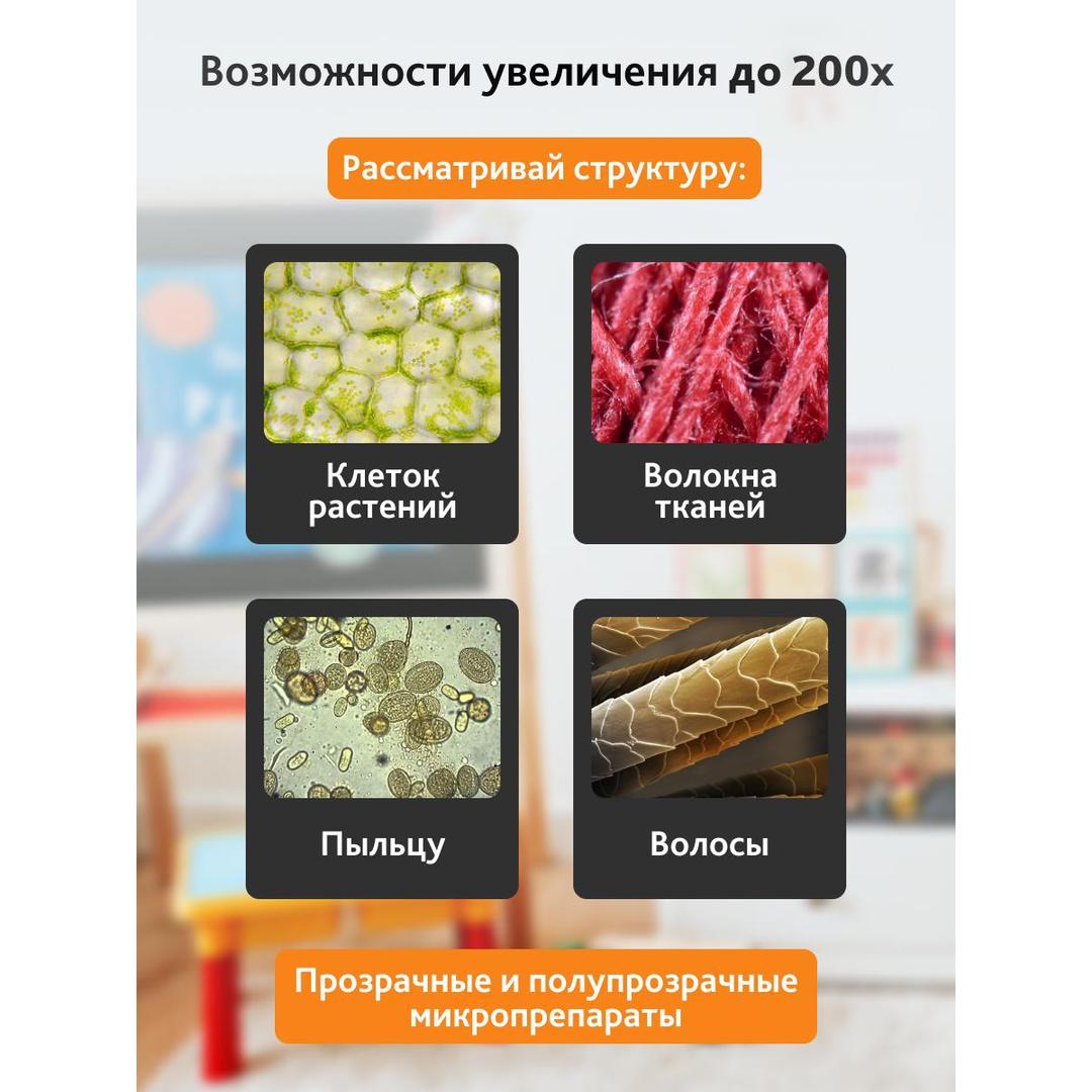 Микроскоп Levenhuk 2S NG, монокулярный