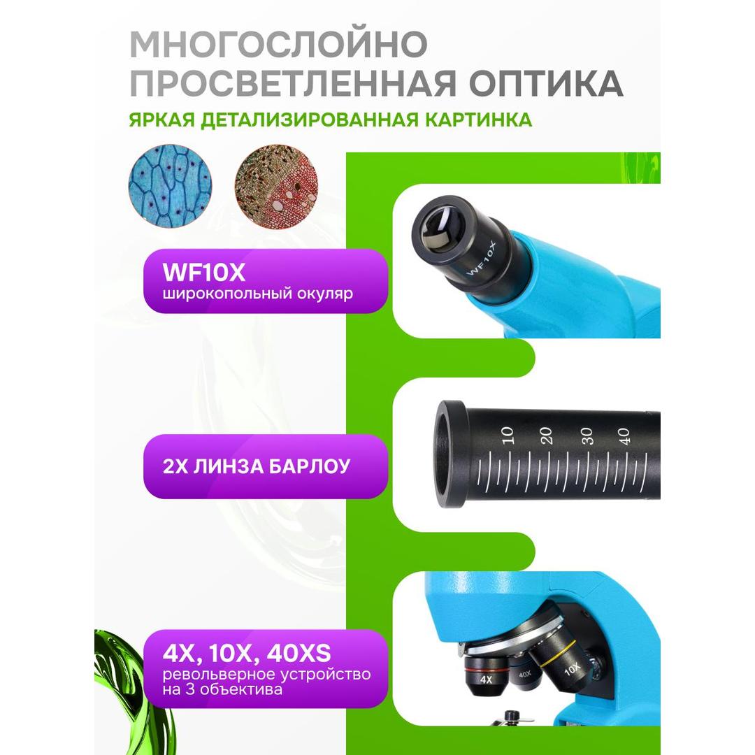 Микроскоп Levenhuk Rainbow 50L, аметист
