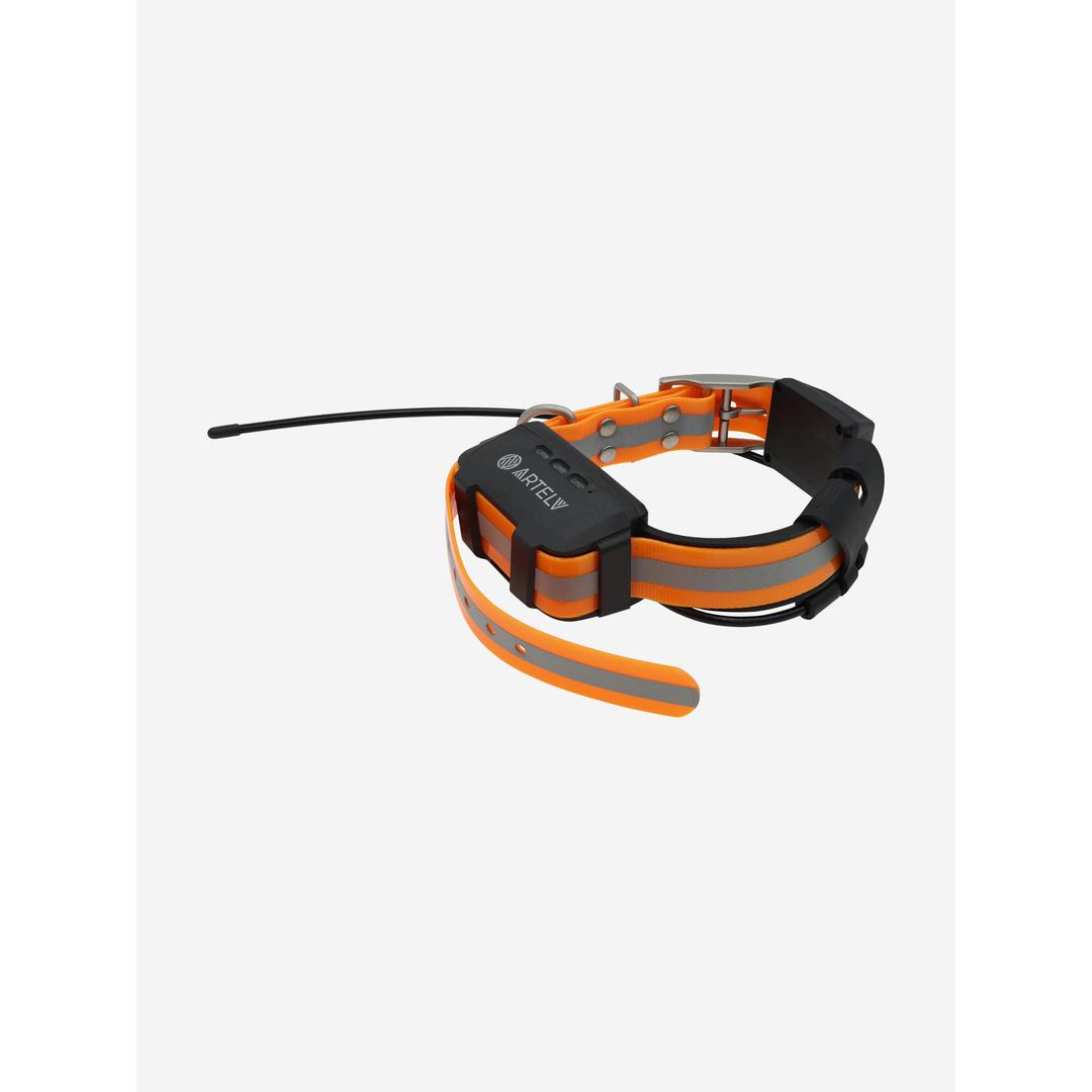 Дополнительный GPS-ошейник ARTELV COLLAR