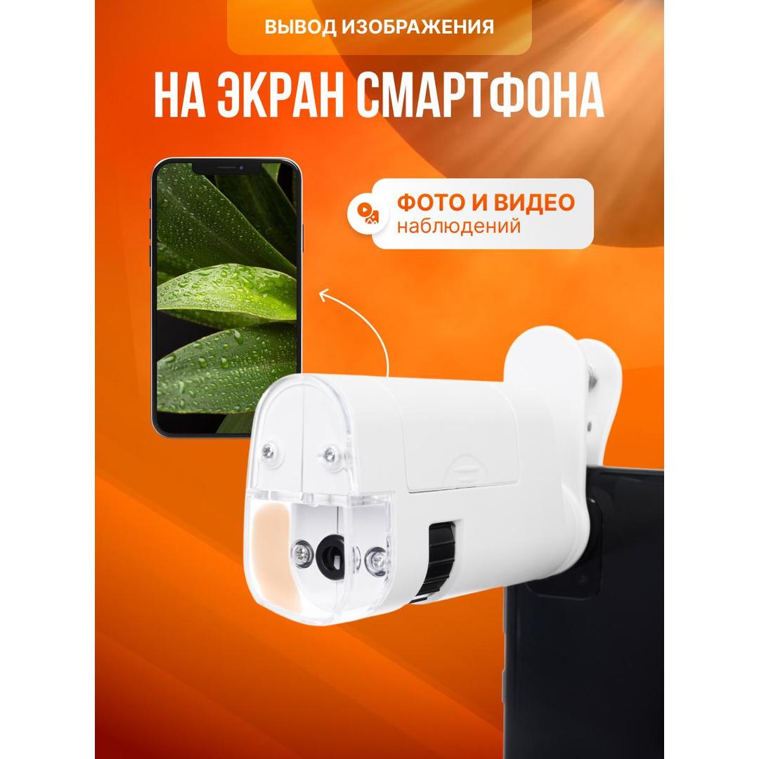 Микроскоп карманный для проверки денег Levenhuk Zeno Cash ZC16
