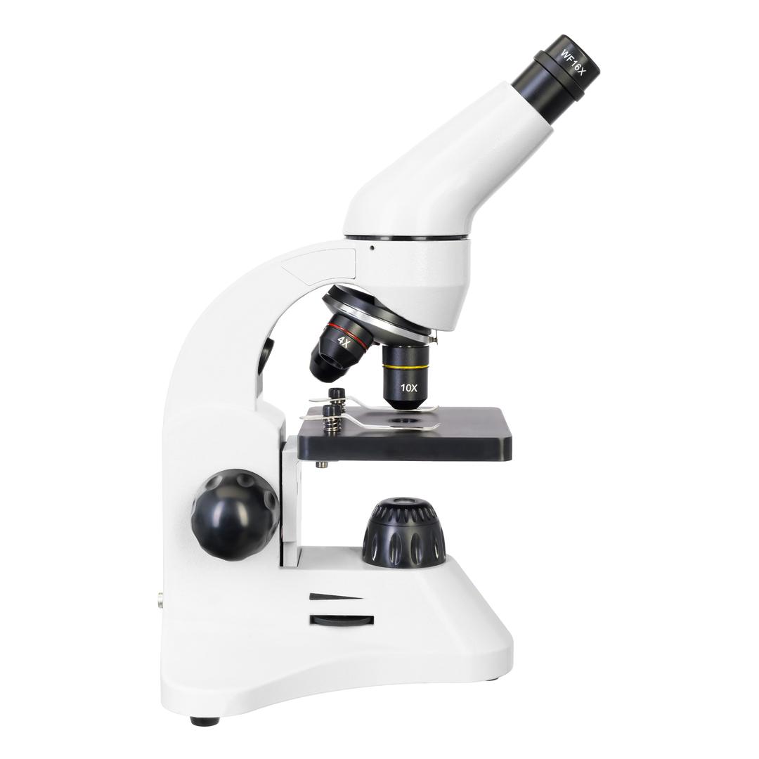 Микроскоп Levenhuk Rainbow D50L PLUS, 2 Мпикс, Moonstone\Лунный камень