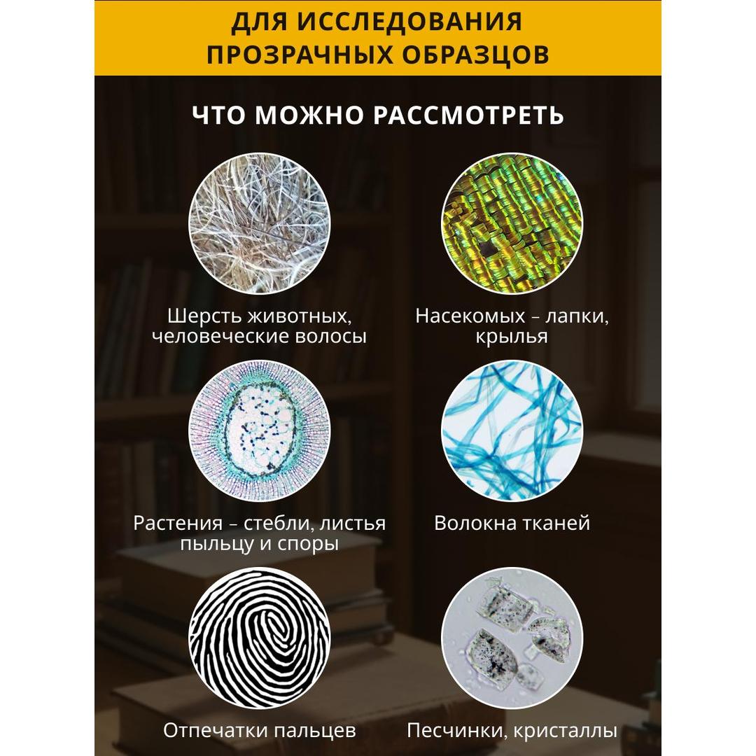 Микроскоп Levenhuk Discovery Centi 01 с книгой