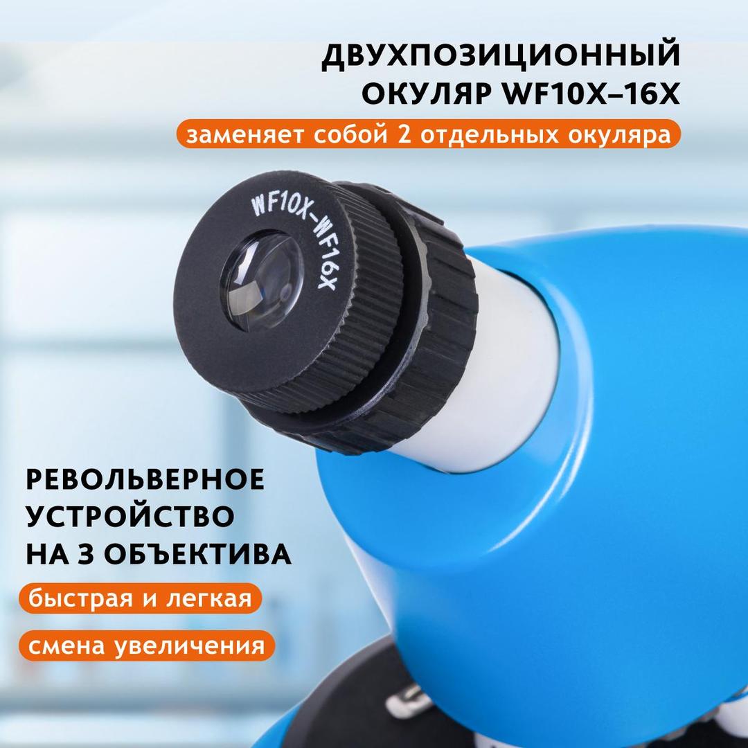 Микроскоп Levenhuk Discovery Micro с книгой, solar