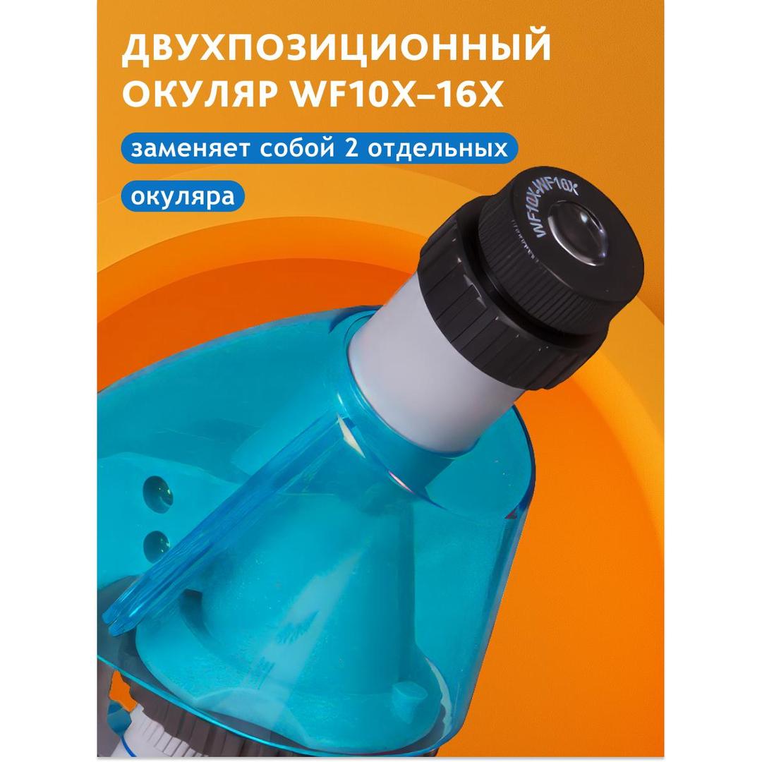 Микроскоп Levenhuk LabZZ M101, аметист