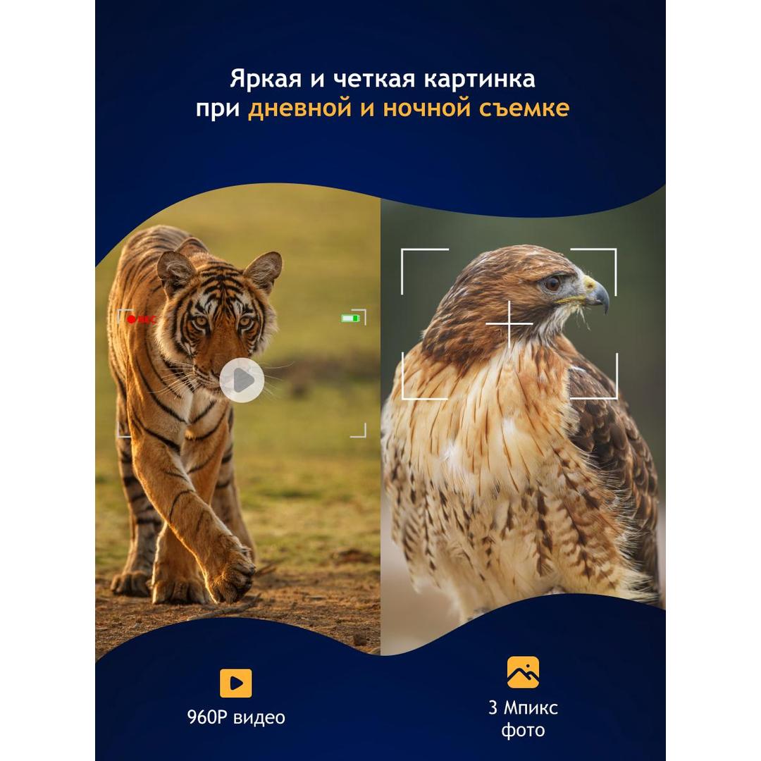 Бинокль цифровой ночного видения Levenhuk Halo 13X Wi-Fi